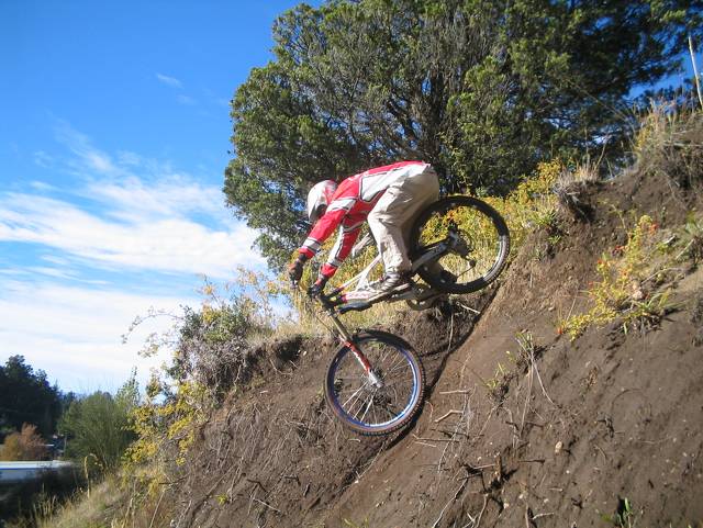 Demencia DH
