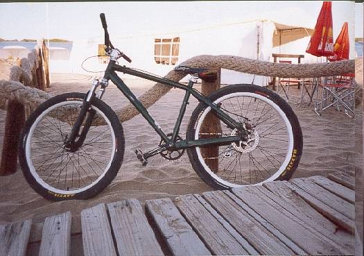 Mi pinkBIKE...