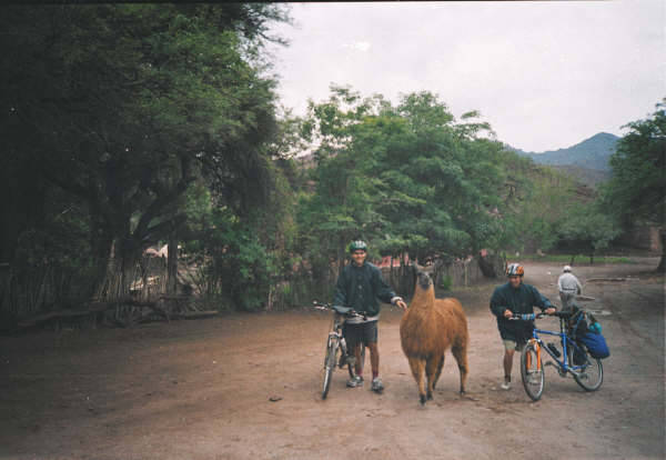 valles calchaquies,salta