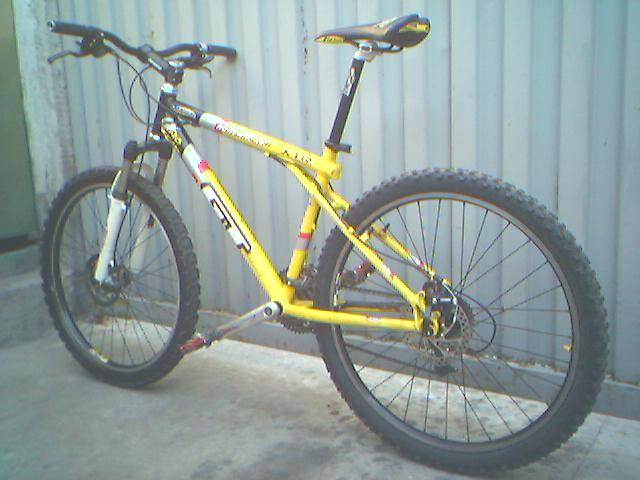 hongo