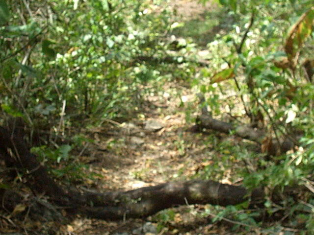 LA 2ª DEL ARGENTINO DE DH 2005 KTAMARK