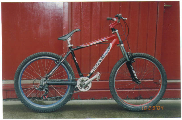 panda21