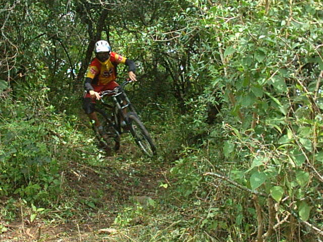 DOWNHILL