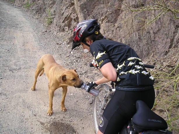 Un perro nos siguio 40km !!!