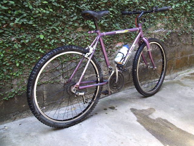 La Nena