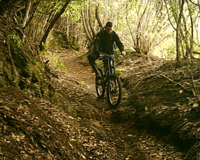 Pedro Alvarez Tenerife