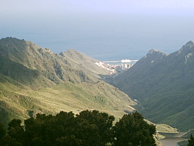 Downhill Tenerife