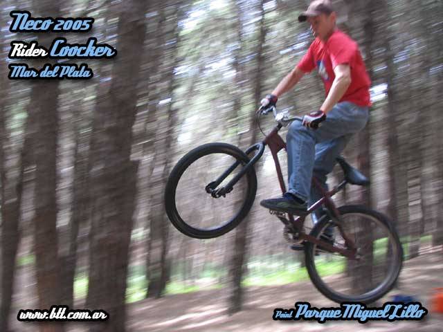 Mardel en Neco