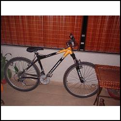 nueva bike