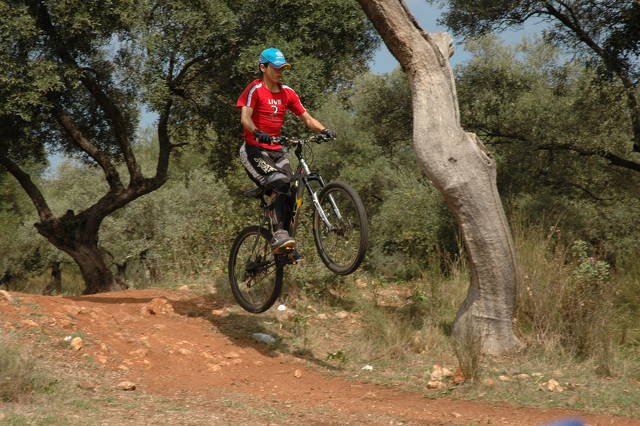 Salto