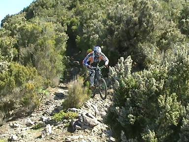 DH Tenerife