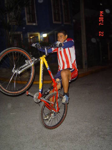 chivas
