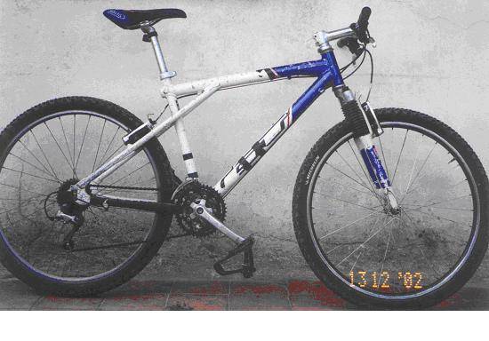 me robaron la bike GT zascar