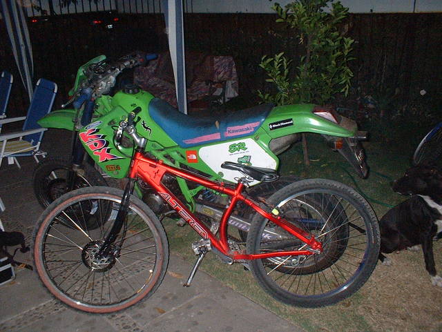 esta es mi chancha
