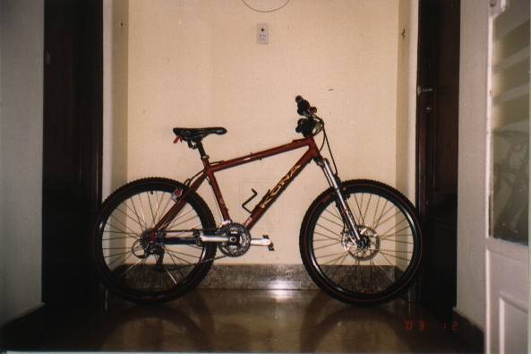 Mi bici