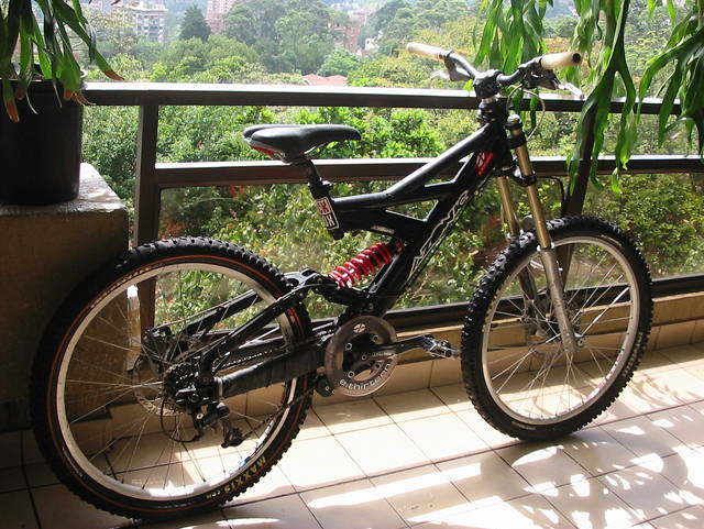 SISON
