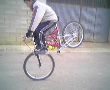 esta bien asg_15 somos los mejores casas ibñez