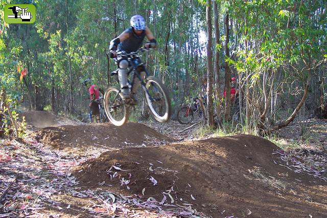 100% Freeride