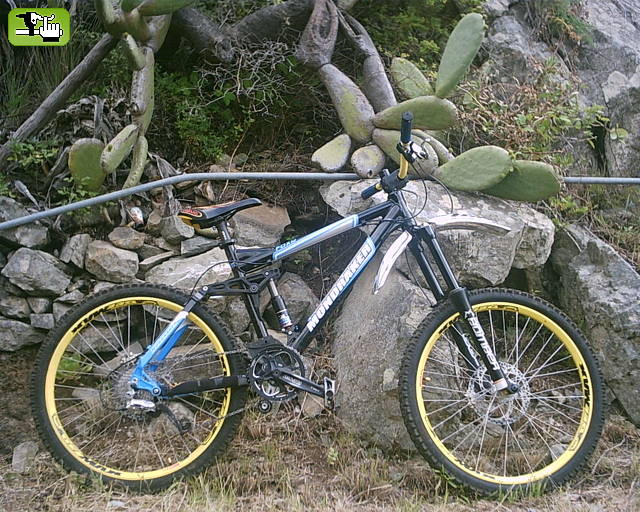 Bici Vito