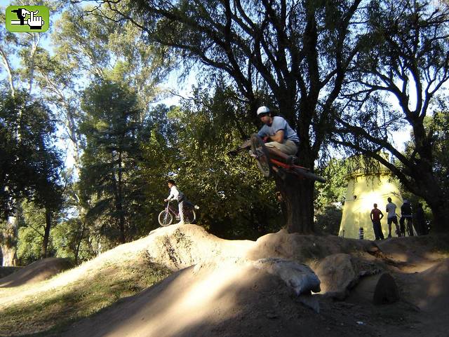 dirts cordoba
