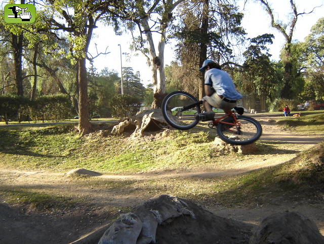 dirts cordoba