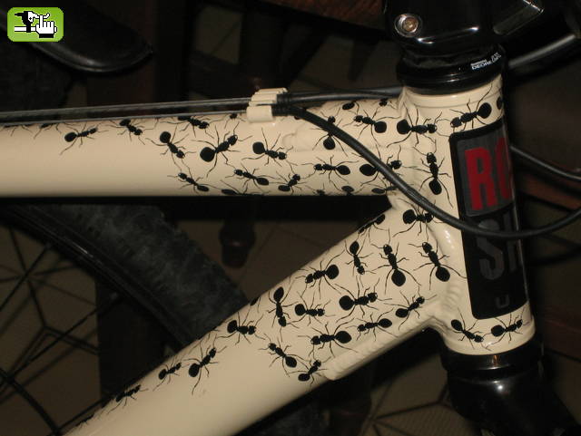 Nuva Bike