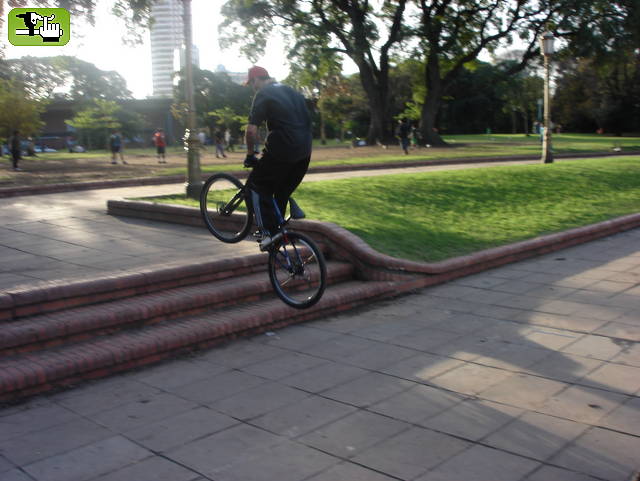 fotos del domingo pasado