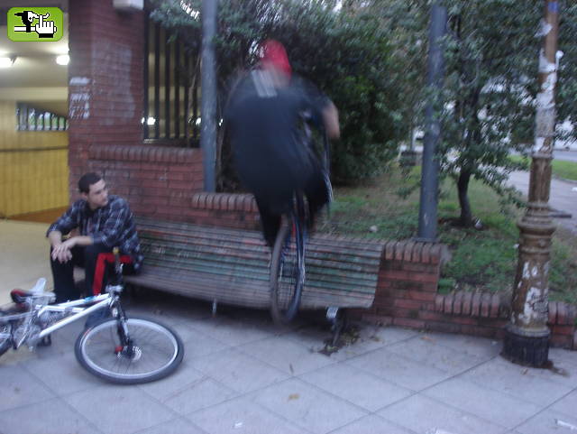 mas del domingo