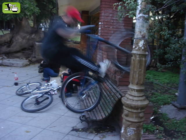 mas del domingo