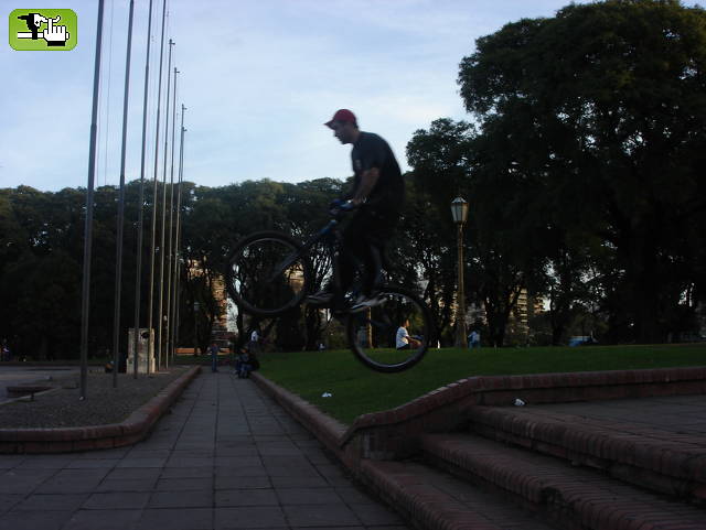MAS DEL DOMINGO