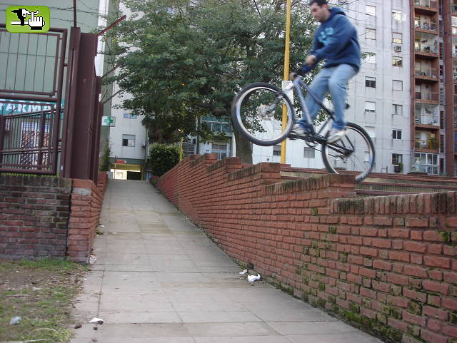 en el anfi