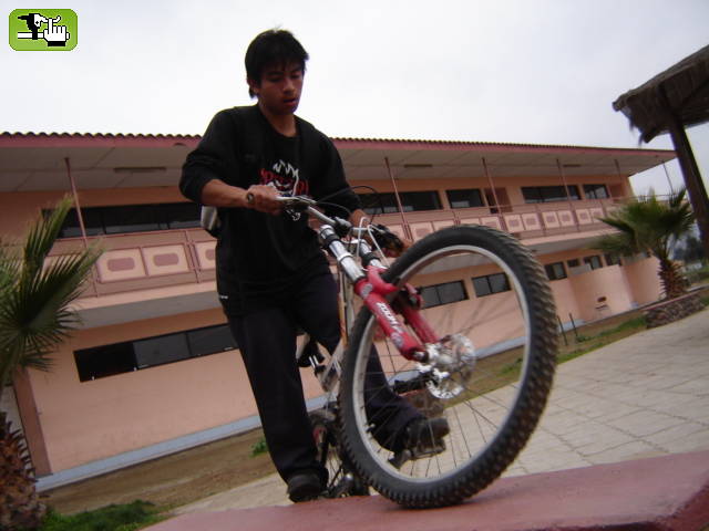 CHICO PRO