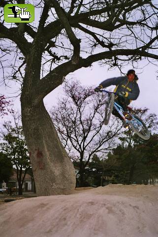 free ride salta