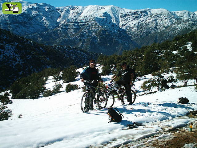 los tierrita.cl