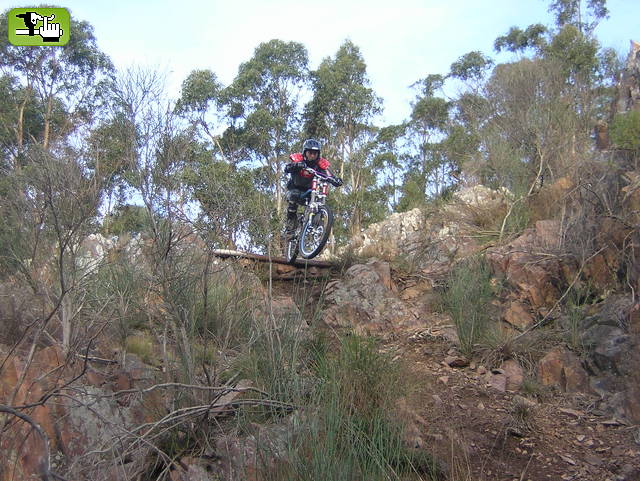 Rama en "El Ombú"