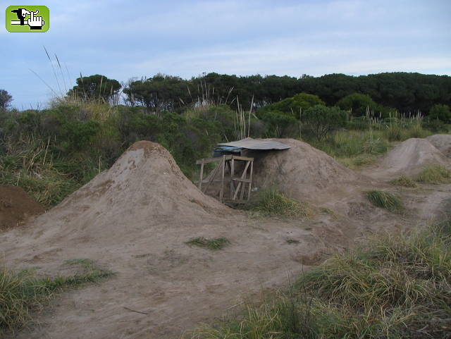faro