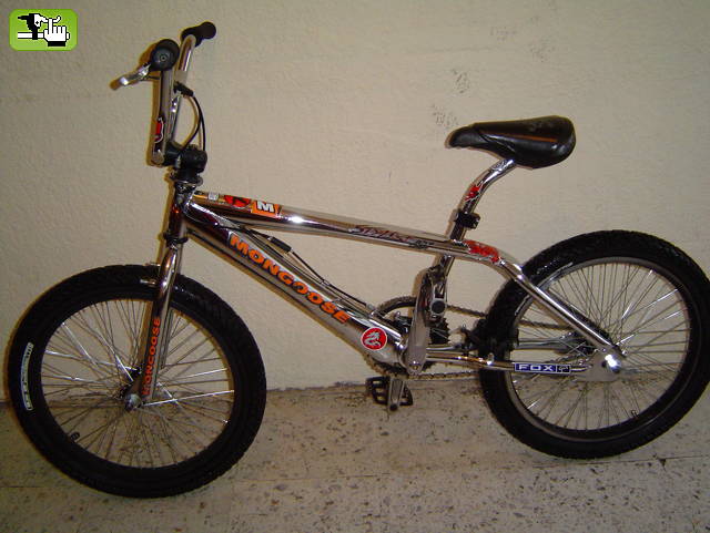 mas de la mongoose