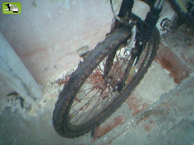 negro_arregui