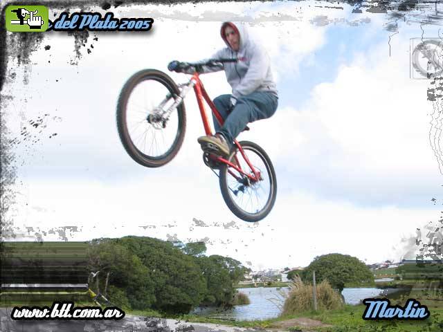 Martin en mogotes