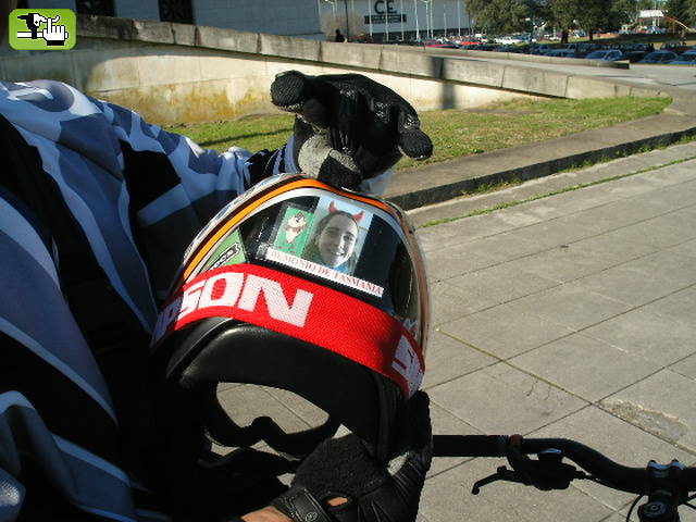 DEMONIO DE TASMANIA