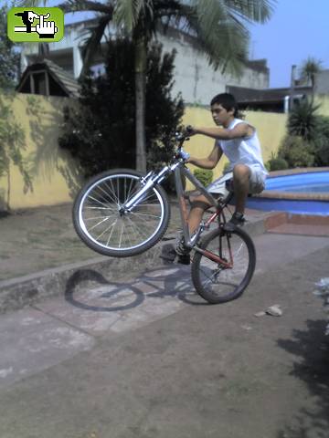willisito
