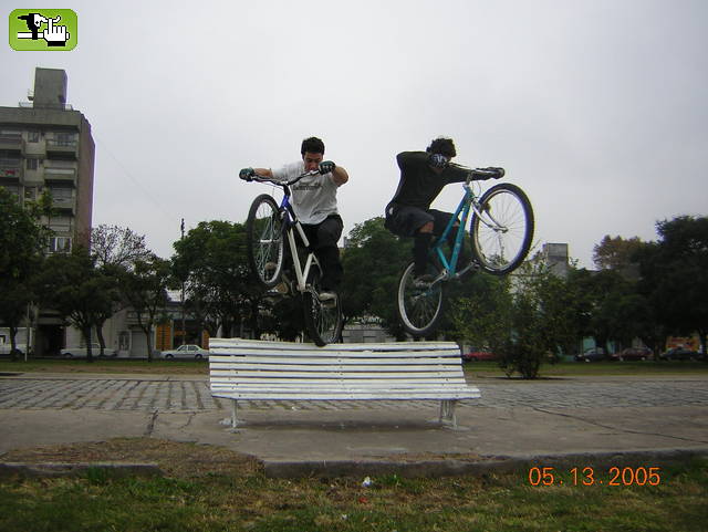 Amadeo