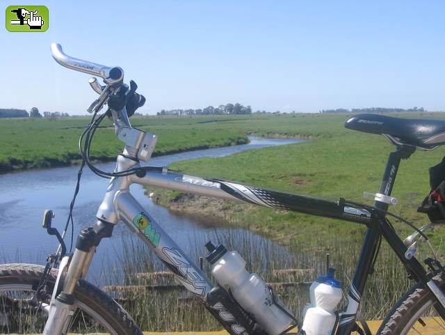 MI CALEA Y YO (ARRYO EL PESCADO )