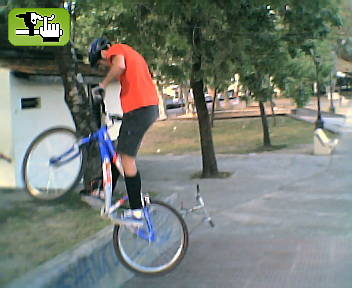trialero de tigre