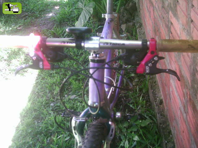 FRENTE