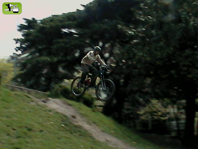 SALTANDO