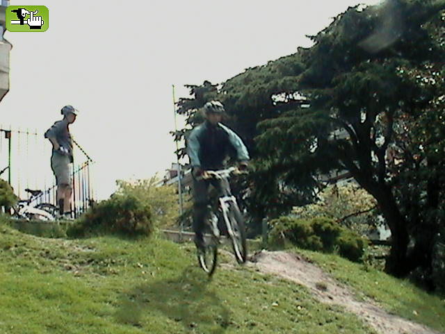SALTANDO