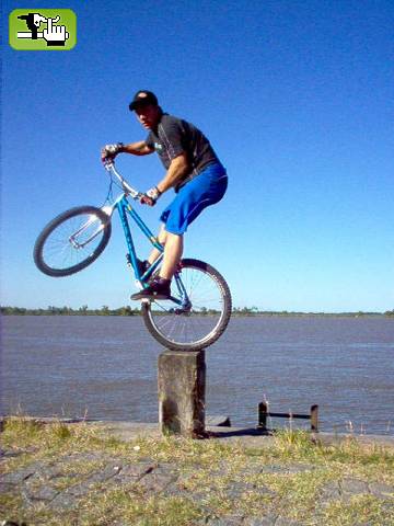 Amadeo