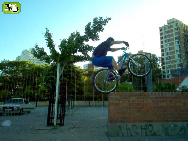 AMADEO