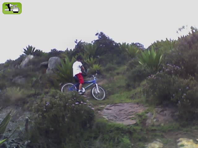 Tato como raro sin casco  ...